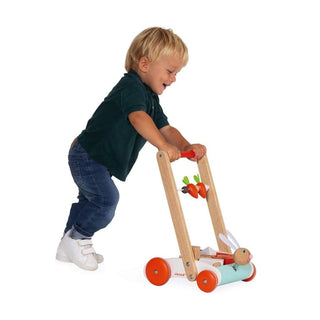 Janod Rabbit Pushcart with Blocks | Wooden Push Along Baby Walker | Age 12m+
