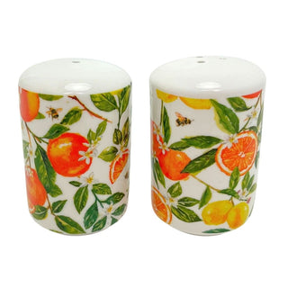 Oranges & Lemons Salt and Pepper Shakers, 7cm Ceramic Citrus Salt & Pepper Pots