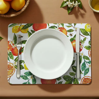 Oranges & Lemons Set of 4 Placemats, 29cm Citrus Rectangle Table Place Mats