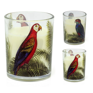 Parrot Palm Boxed Candle | Glass Candle Holder With Scented Candle - Aroma Gift