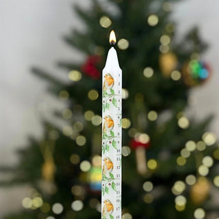 Robin & Holly Advent Countdown Candle | Numbered Christmas Candle Calendar 23cm