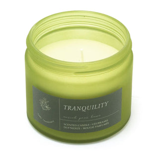 Scented Candle in Glass Jar | Glass Candle Holder with Fragrance Candle