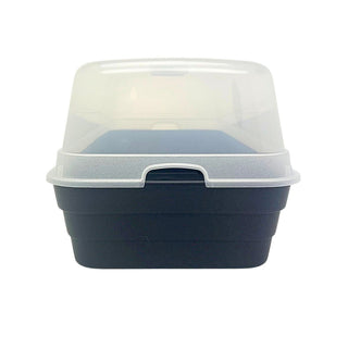 Seed Tray Propagator with Lid, 50x22cm Seed Starter Tray with Lid for Plants