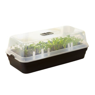 Seed Tray Propagator with Lid, 50x22cm Seed Starter Tray with Lid for Plants