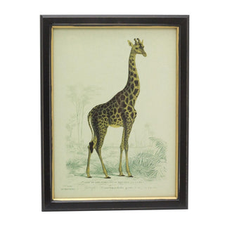 Set Of 3 Jungle Safari Animal Pictures For Walls | 3 Piece Zebra Elephant Giraffe Wall Art Framed Animal Prints | Pack Of Three Animal Framed Wall Art