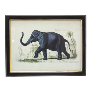Set Of 3 Jungle Safari Animal Pictures For Walls | 3 Piece Zebra Elephant Giraffe Wall Art Framed Animal Prints | Pack Of Three Animal Framed Wall Art