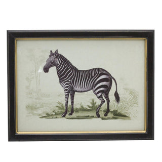 Set Of 3 Jungle Safari Animal Pictures For Walls | 3 Piece Zebra Elephant Giraffe Wall Art Framed Animal Prints | Pack Of Three Animal Framed Wall Art