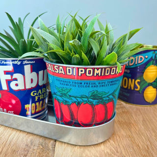 Set of 3 Vintage - Style Tomato Tin Planters with Tray Retro Windowsill Herb Pots