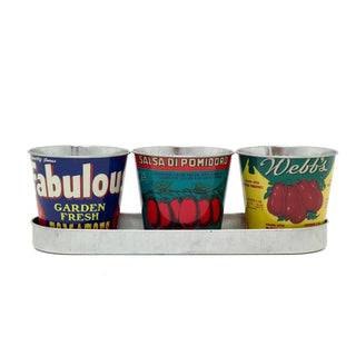 Set of 3 Vintage - Style Tomato Tin Planters with Tray Retro Windowsill Herb Pots