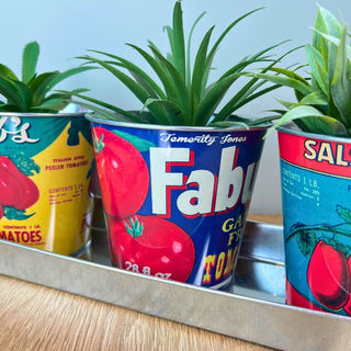 Set of 3 Vintage - Style Tomato Tin Planters with Tray Retro Windowsill Herb Pots