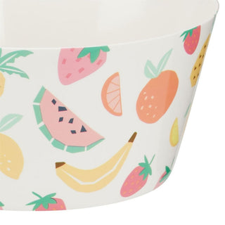 Set of 4 Plastic Picnic Bowls, 860ml Fruit Design Outdoor Camping Bowls