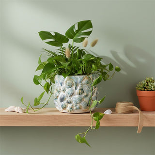Shell Embossed Plant Pot, 16.5cm White Ceramic Shell Coastal Planter Cache Pot