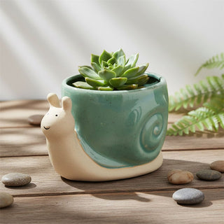 Snail Planter, 15cm Ceramic Snail - Shaped Plant Pot, Novelty Flower Pot