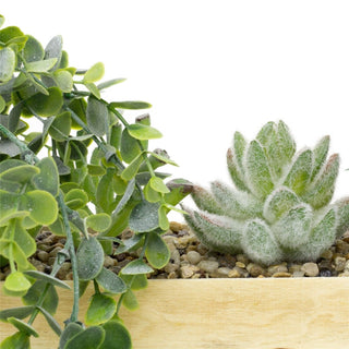 5 Artificial Succulent Plants With Crate | Faux Plant And Planter | Fake Plants Home Decor - 41cm