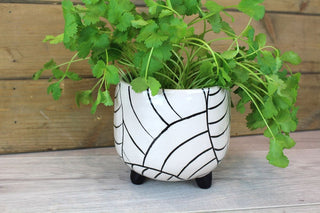 Art Deco Style Ceramic Plant Pot Holder | Decorative Cachepot Planter | Black And White Indoor House Plant Planter