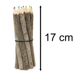 Pack Of 10 Medium Tamarind Tree Branch Twig Pencils | 10 Piece Colouring Pencils Rustic Wooden Pencils | 10 Multi Coloured Pencils Eco Friendly Party Bag Fillers