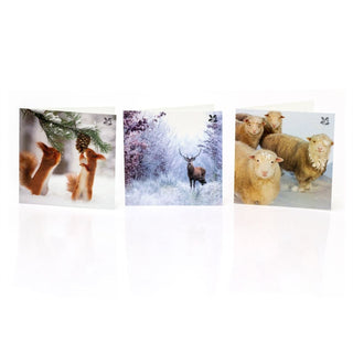 Pack Of 20 National Trust Charity Christmas Cards | 20 Wildlife Christmas Cards