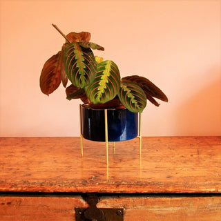 Small Gold Lined Ceramic Cache Plant Pot Planter With Stand